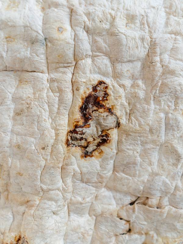 MYC_Carpet #01 Abstract Mixed media Dasha Tsapenko - Subjektiv.art