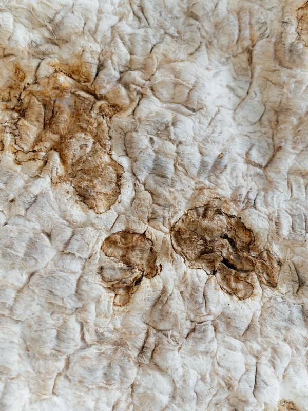 MYC_Carpet #01 Abstract Mixed media Dasha Tsapenko - Subjektiv.art