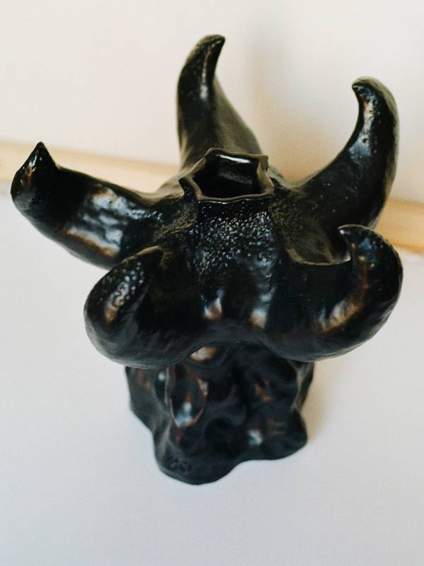 Devil's fingers Organic Sculpture Alena Kuznetsova - Subjektiv.art