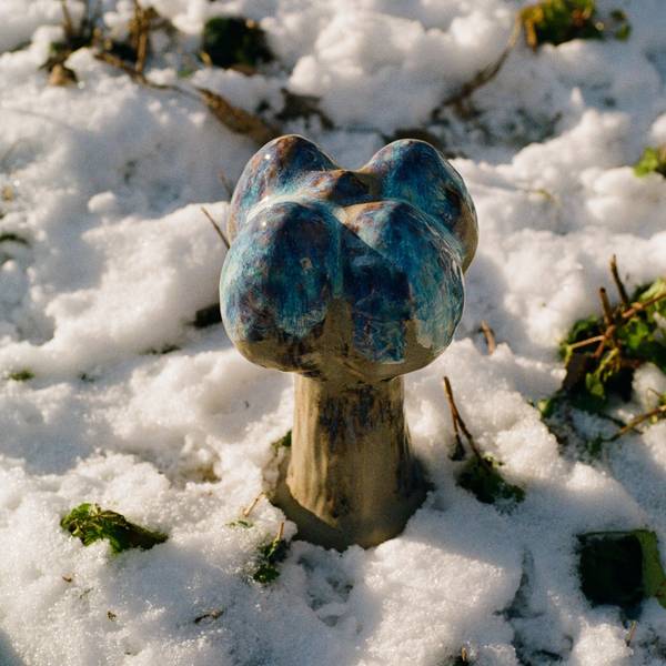 Egg mushroom Organic Sculpture Alena Kuznetsova - Subjektiv.art