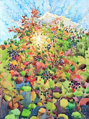 Elderberries - Subjektiv.art