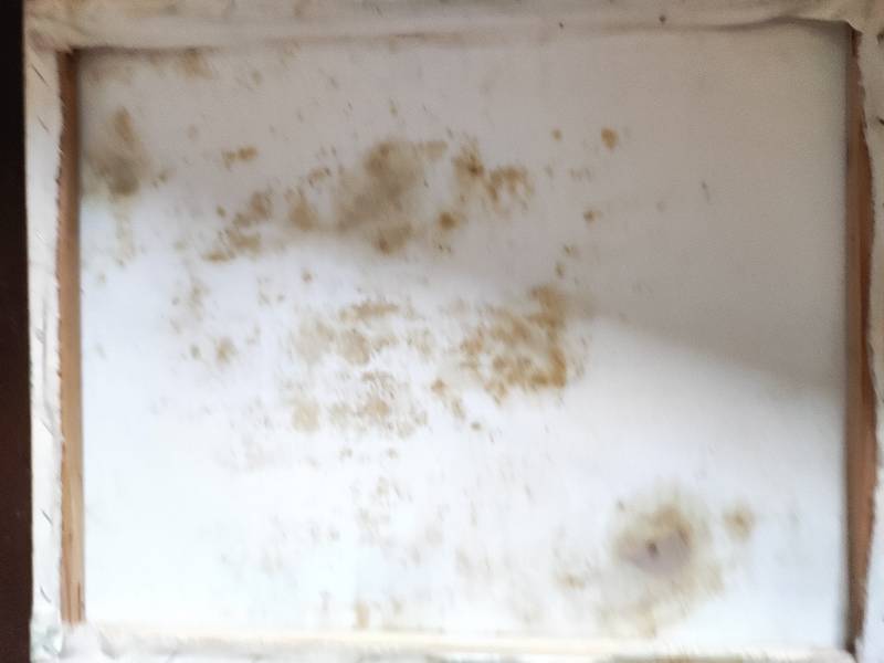 Happy phantom Surrealistic Painting Emilie Lagarde - Subjektiv.art