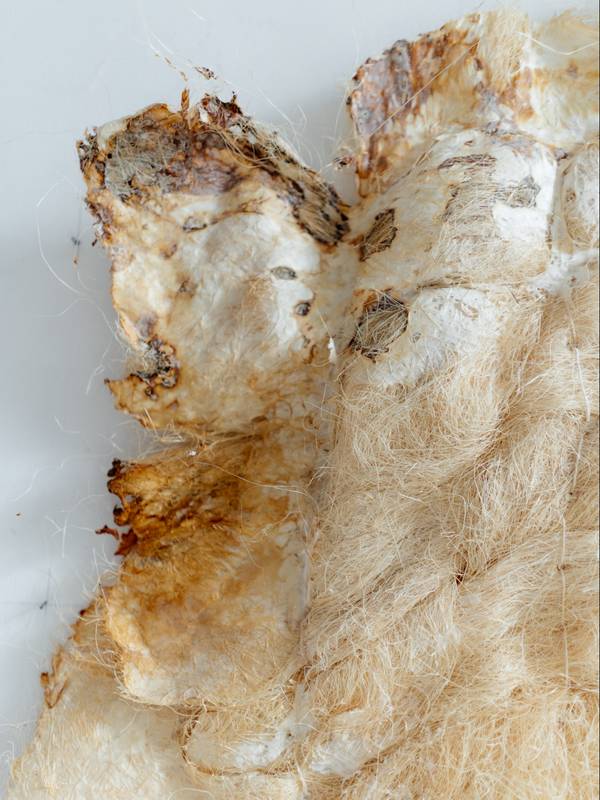 MYC_Carpet 'White on White' series Abstract Mixed media Dasha Tsapenko - Subjektiv.art