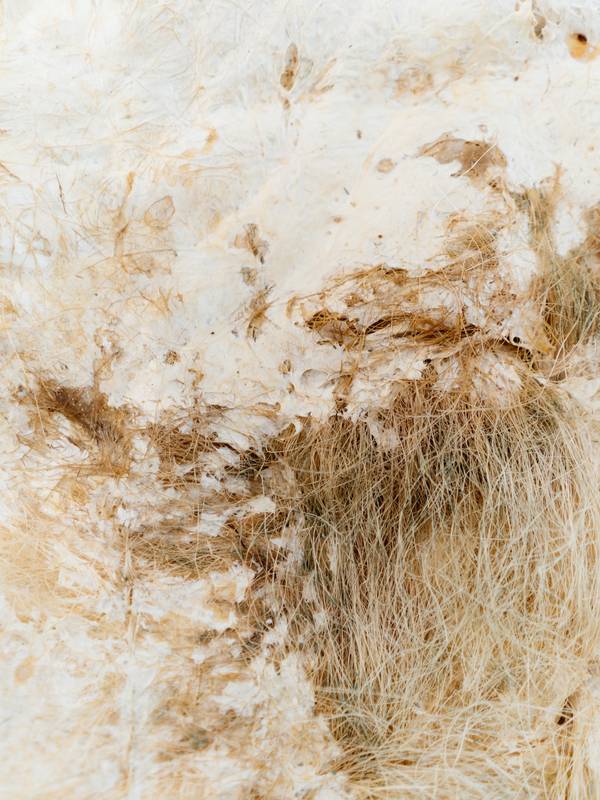 MYC_Carpet 'White on White' series Abstract Mixed media Dasha Tsapenko - Subjektiv.art