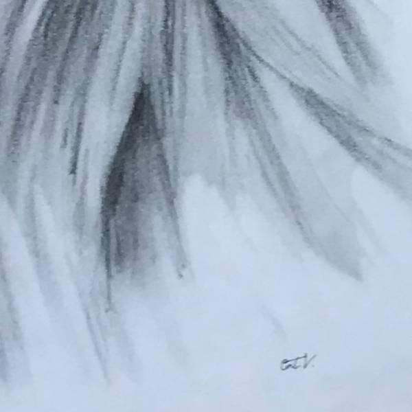 Lion Expressive and gestural Drawing Catarina Vasco - Subjektiv.art