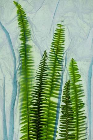 APNÉE 5 - Subjektiv.art