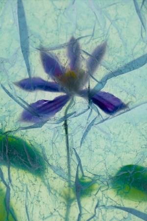 APNÉE 4 - Subjektiv.art