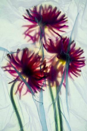 APNÉE 2 - Subjektiv.art