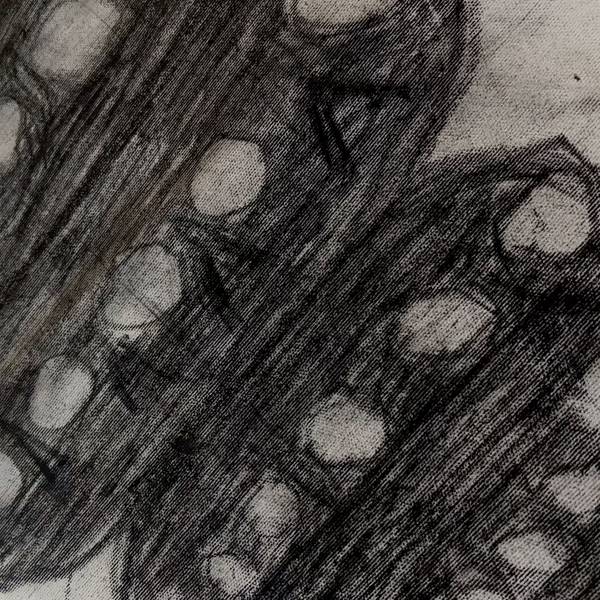 space saucer Abstract Drawing Kateryna Kopeikina - Subjektiv.art