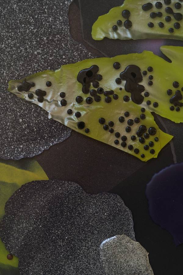 Space caviar Fine Art Mixed media Elnara Nasirli - Subjektiv.art