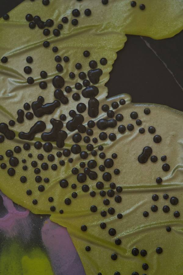 Space caviar Fine Art Mixed media Elnara Nasirli - Subjektiv.art