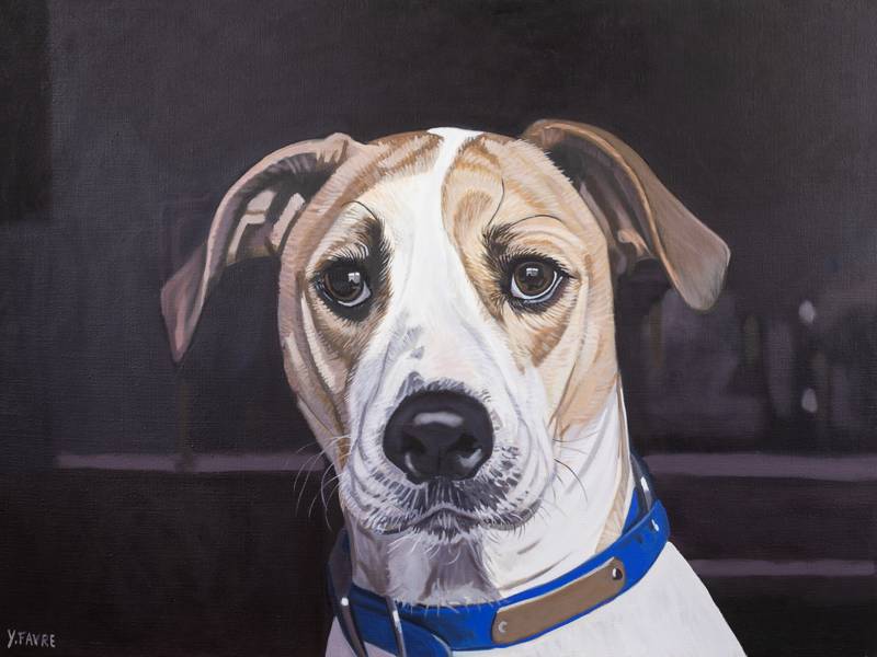 Good dog Photorealistic Painting Yvan Favre - Subjektiv.art
