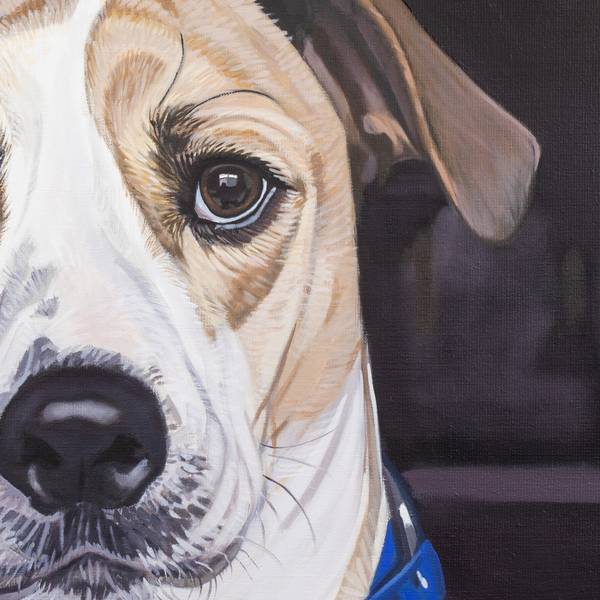 Good dog Photorealistic Painting Yvan Favre - Subjektiv.art