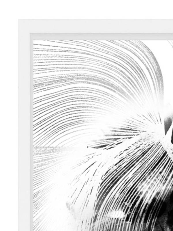 FOLIE DOUCE 1 Organic Photography Sophie Le Gendre - Subjektiv.art