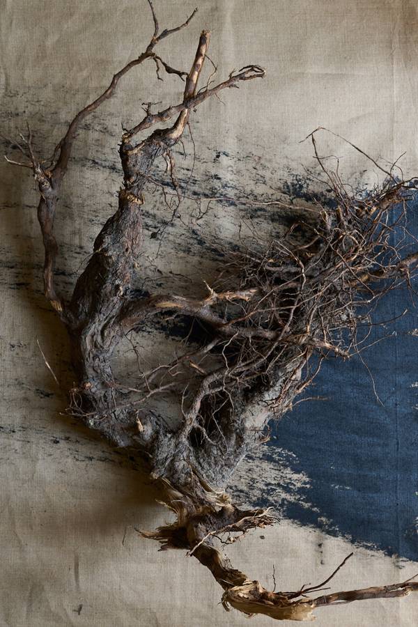 Dissection of Spirit  - Subjektiv.art