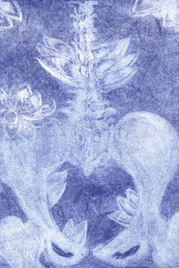 Flowered basin Modern Engraving Rose Meybeck - Subjektiv.art