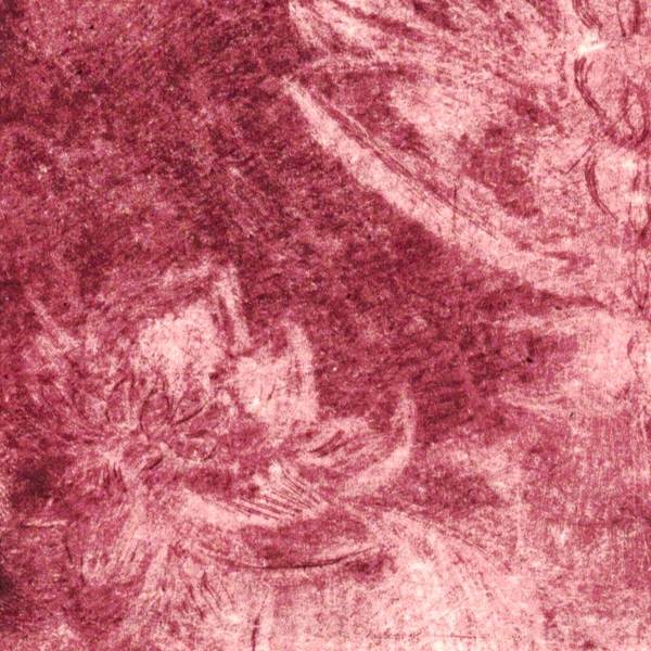 Flowered basin Modern Engraving Rose Meybeck - Subjektiv.art