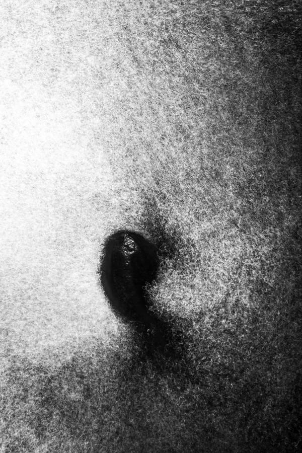  a thousand suns Modern Photography Petro Chekal - Subjektiv.art
