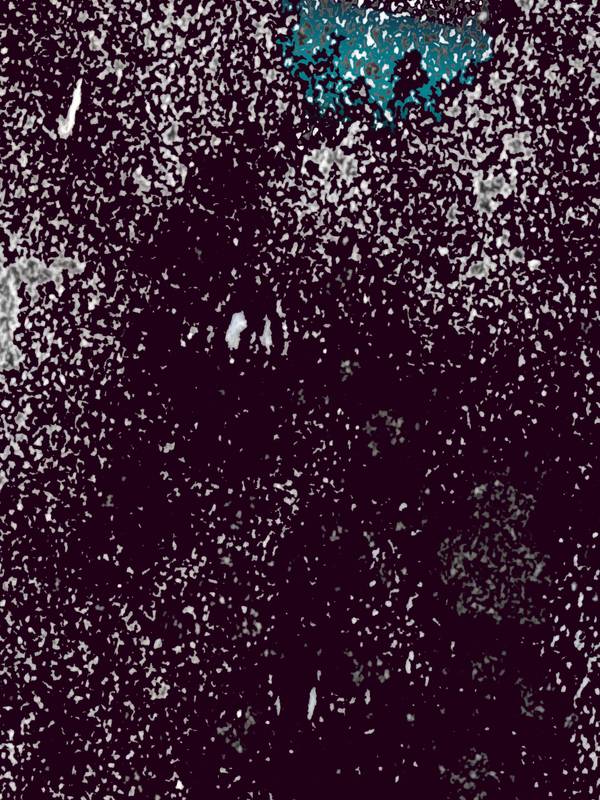 CAD 240831 Abstract Prints Yuuko Suzuki - Subjektiv.art