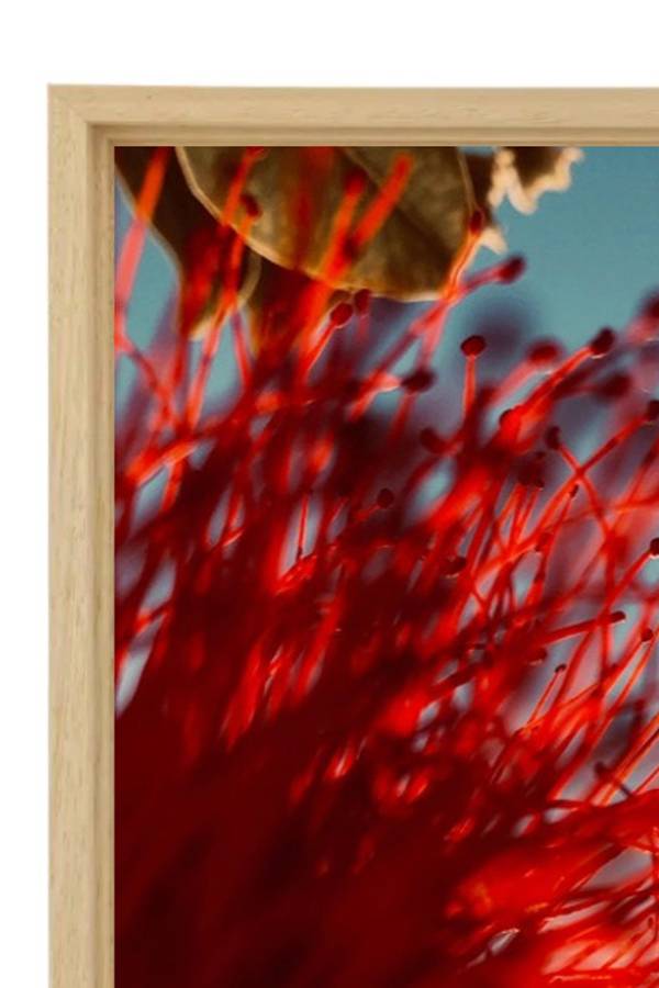 RESPIRATION 38 Fine Art Photography Sophie Le Gendre - Subjektiv.art