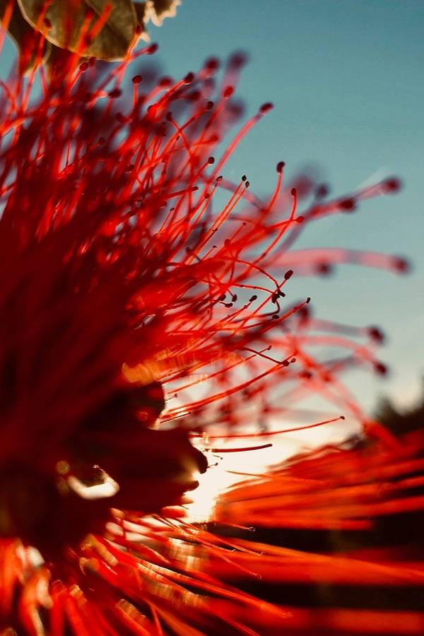 RESPIRATION 38 Fine Art Photography Sophie Le Gendre - Subjektiv.art