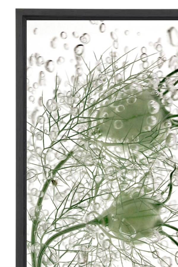 RENAISSANCE n° 25 Organic Photography Sophie Le Gendre - Subjektiv.art
