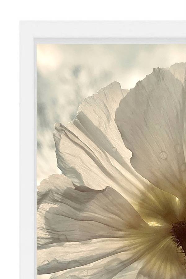 RESPIRATION n° 72 Organic Photography Sophie Le Gendre - Subjektiv.art