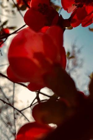 RESPIRATION n° 69 - Subjektiv.art