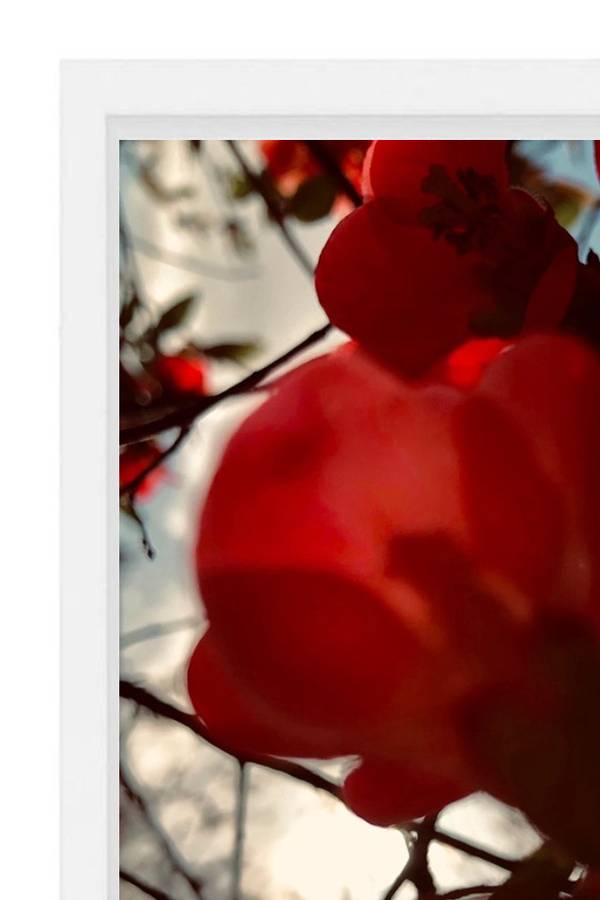 RESPIRATION n° 69 Fine Art Photography Sophie Le Gendre - Subjektiv.art