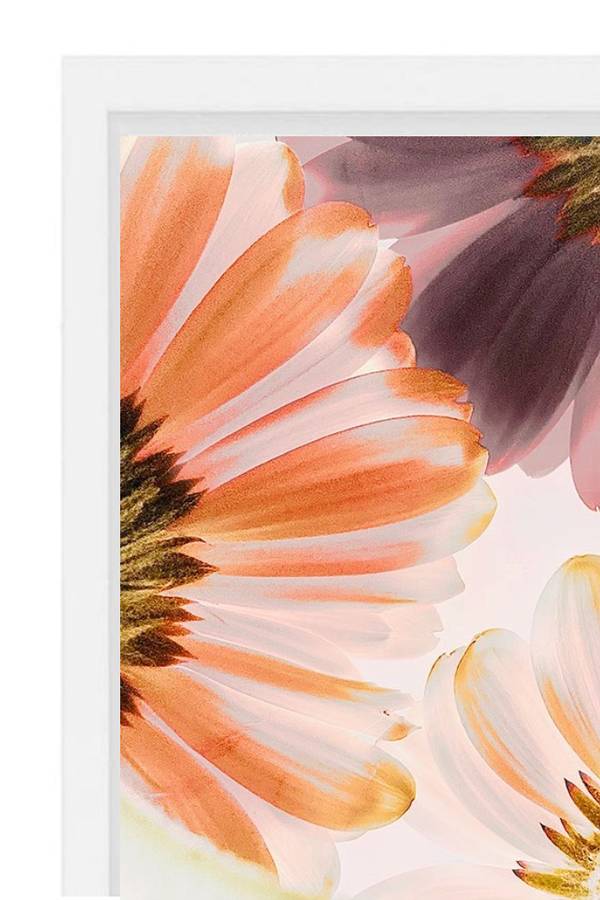 DOUCEUR n° 11 Organic Photography Sophie Le Gendre - Subjektiv.art