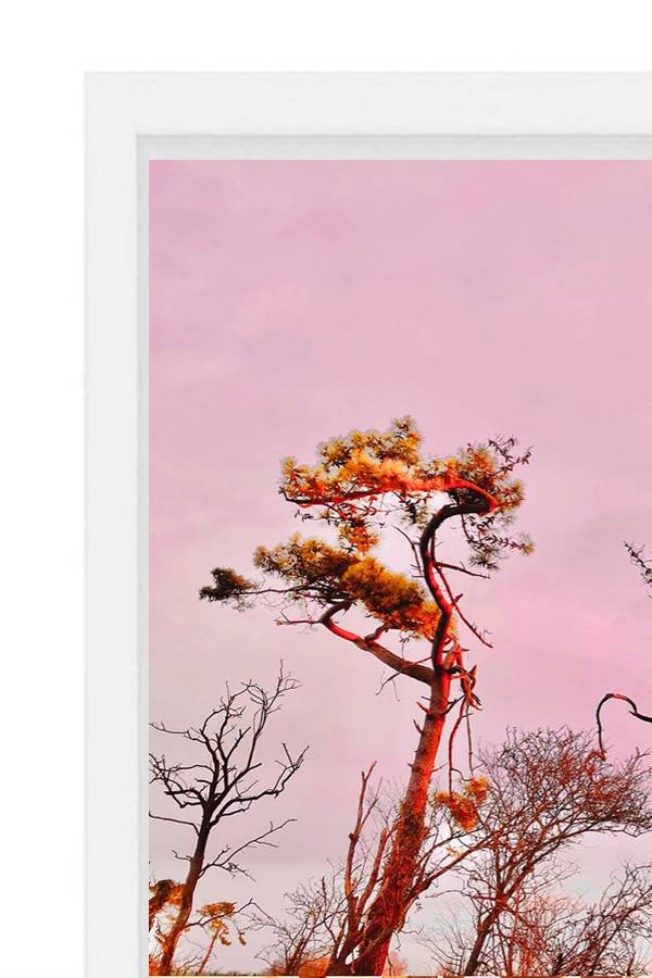 DOUCEUR n° 8 Organic Photography Sophie Le Gendre - Subjektiv.art