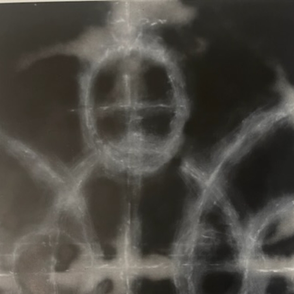 Moth Abstract Painting Olga Zolotarova - Subjektiv.art