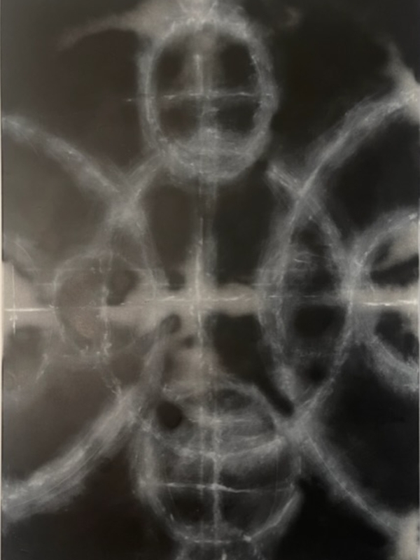 Moth Abstract Painting Olga Zolotarova - Subjektiv.art