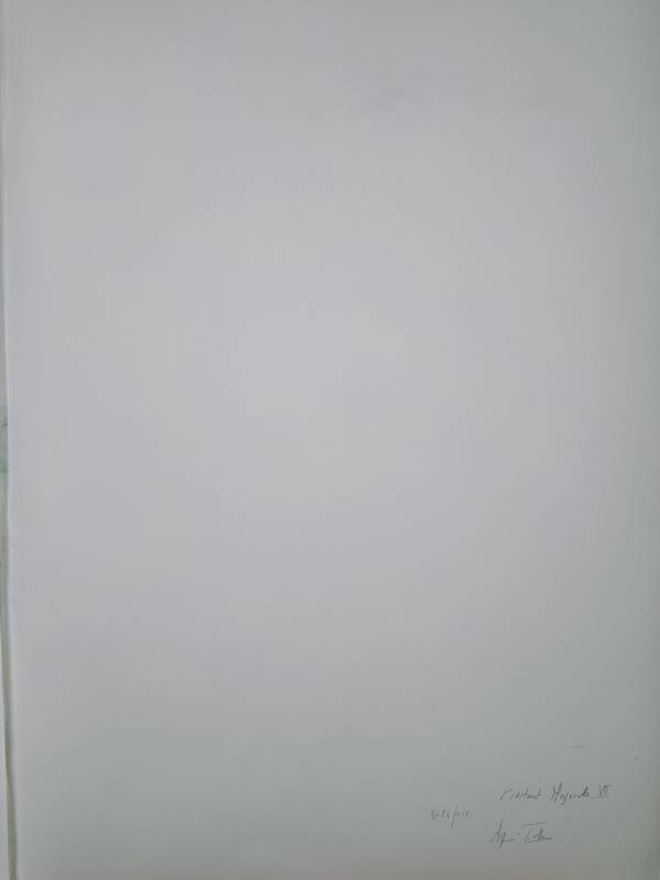 Instant Majorelle VII Fine Art Drawing Agnes Tiollier - Subjektiv.art