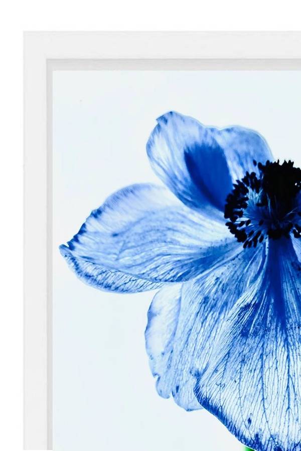 DÉLICATESSE n°12 Fine Art Photography Sophie Le Gendre - Subjektiv.art