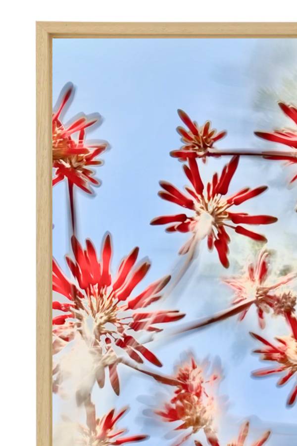 DOUCEUR BLESSEE n°14 Fine Art Photography Sophie Le Gendre - Subjektiv.art