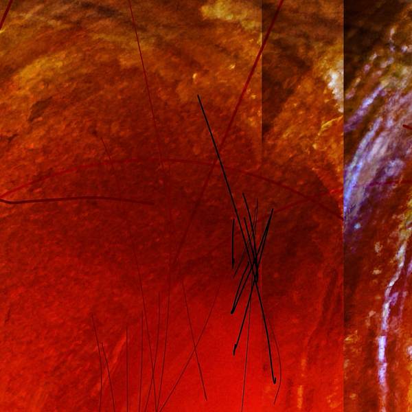 DG 241022 Abstract Prints Yuuko Suzuki - Subjektiv.art