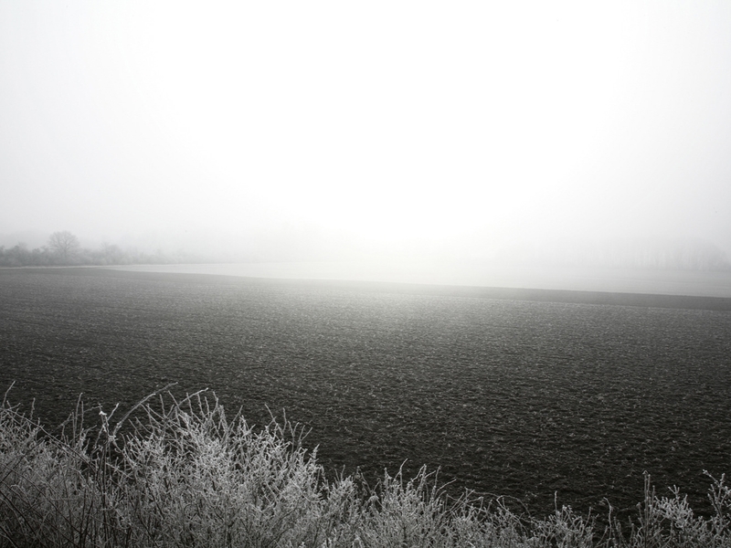 Infinite Morning II  - Subjektiv.art