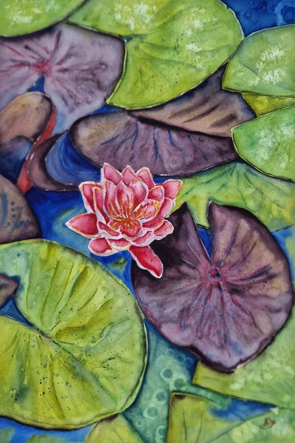 Water lily   - Subjektiv.art