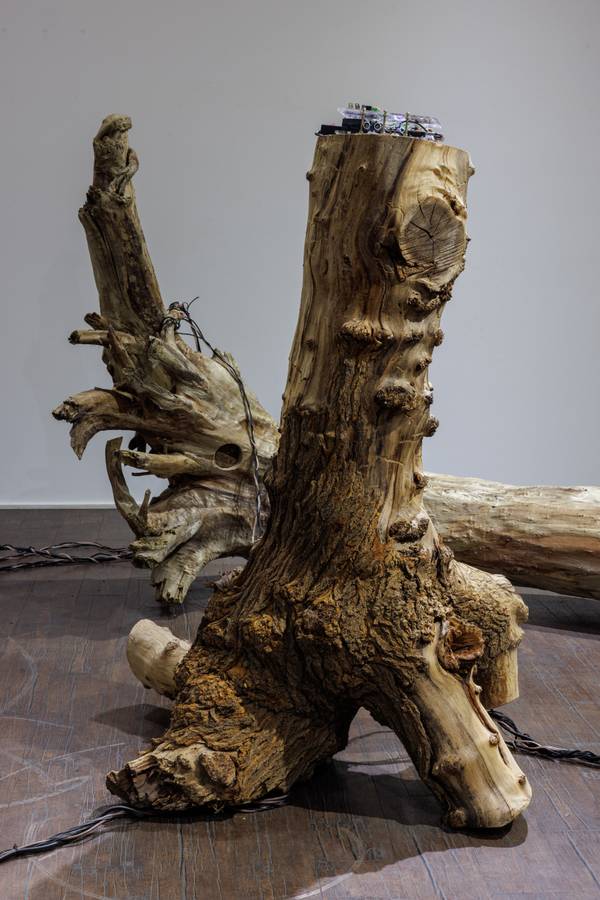 Whispering Forest Fine Art Mixed media Elnara Nasirli - Subjektiv.art