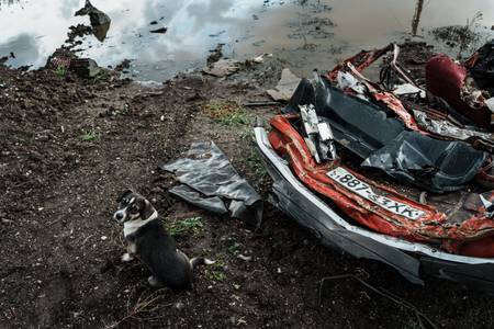 Kharkiv region - Subjektiv.art