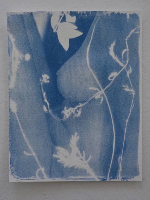Bloom is result to meet a flower  - Subjektiv.art