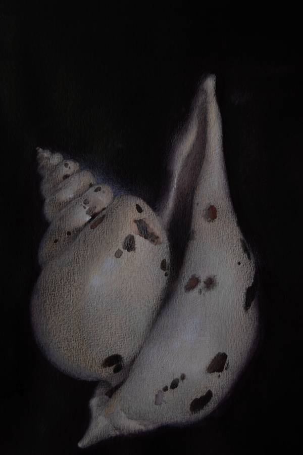 14/20  - Subjektiv.art