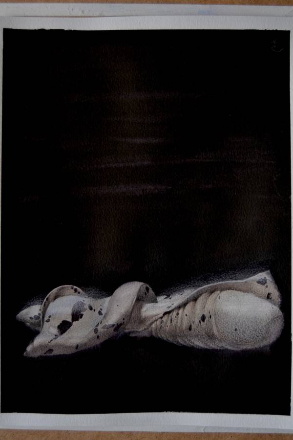 16/20 Surreal Seashell Watercolor Surrealistic Painting Yuliia Holub - Subjektiv.art