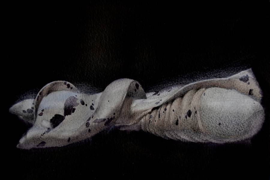 16/20 Surreal Seashell Watercolor  - Subjektiv.art