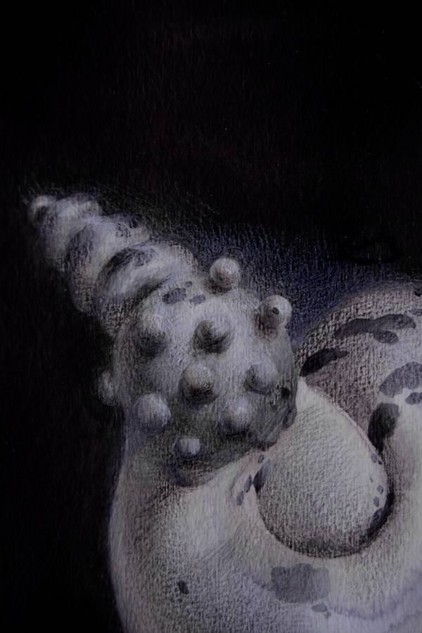 17/20 - Surreal Seashell Shape Surrealistic Painting Yuliia Holub - Subjektiv.art