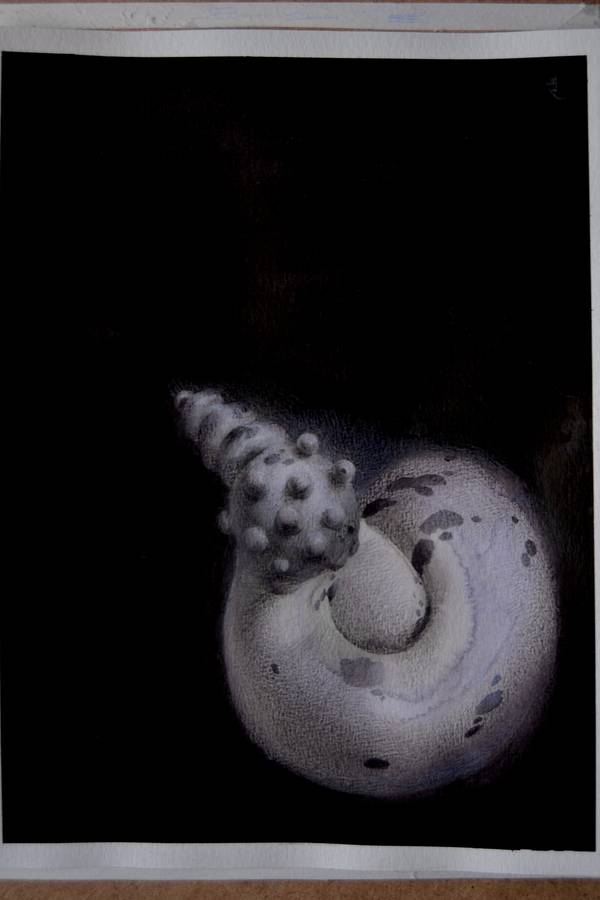 17/20 - Surreal Seashell Shape Surrealistic Painting Yuliia Holub - Subjektiv.art