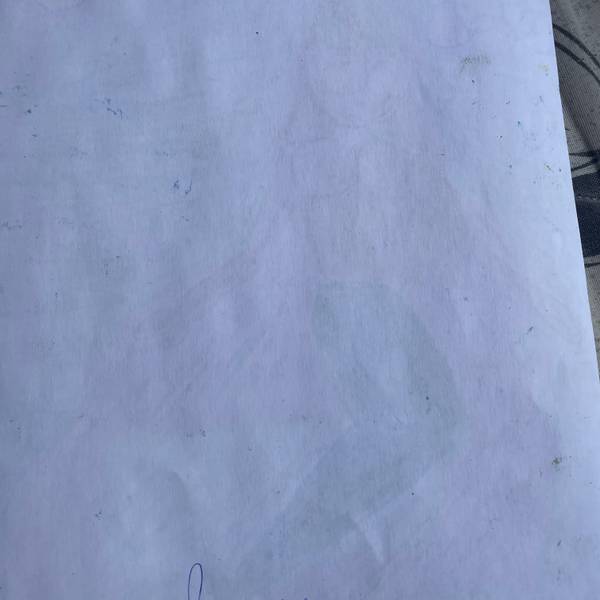 iara Expressive and gestural Drawing Fernando Stanescon - Subjektiv.art