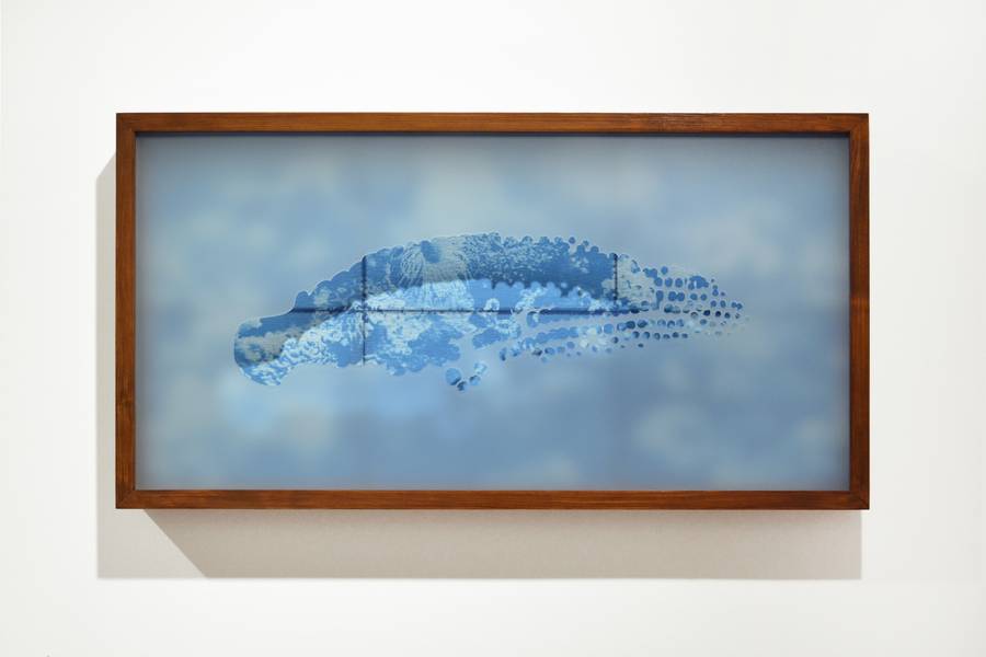 Fellow Ichthyosaurus I Tiago Costa - Subjektiv.art