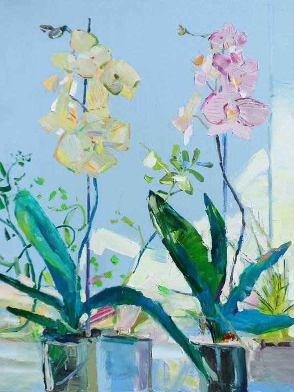 Phalaenopsis Yehor Dulin - Subjektiv.art
